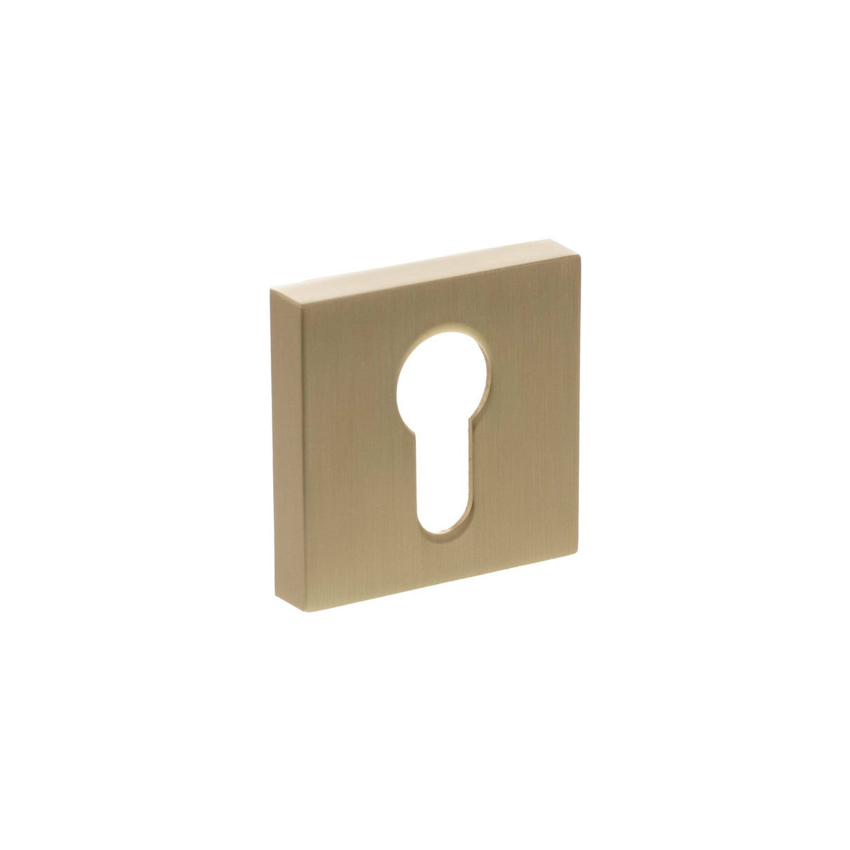 Senza Pari Satin Brass Square Euro Cylinder Escutcheon | SPESCESB
