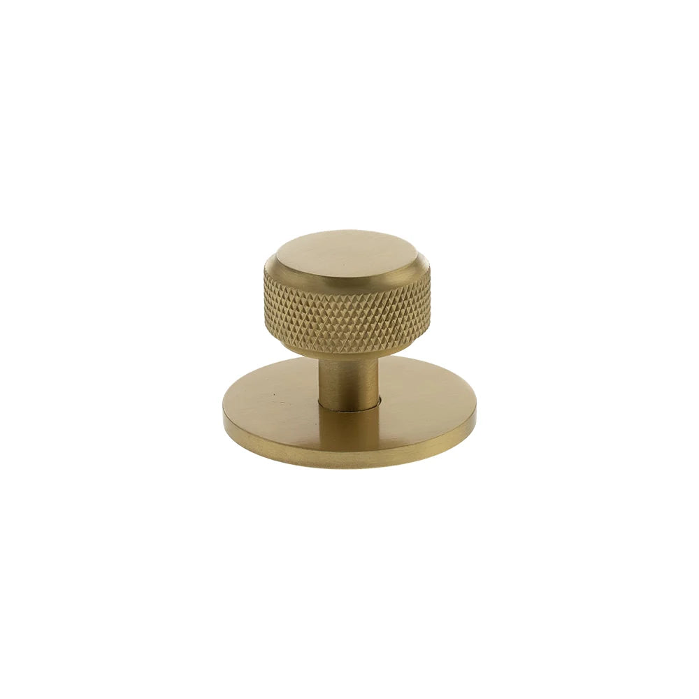 Millhouse Brass Satin Brass Eiffel Knurled Round Cabinet Knob on Backplate  |  MHCKB1532SB