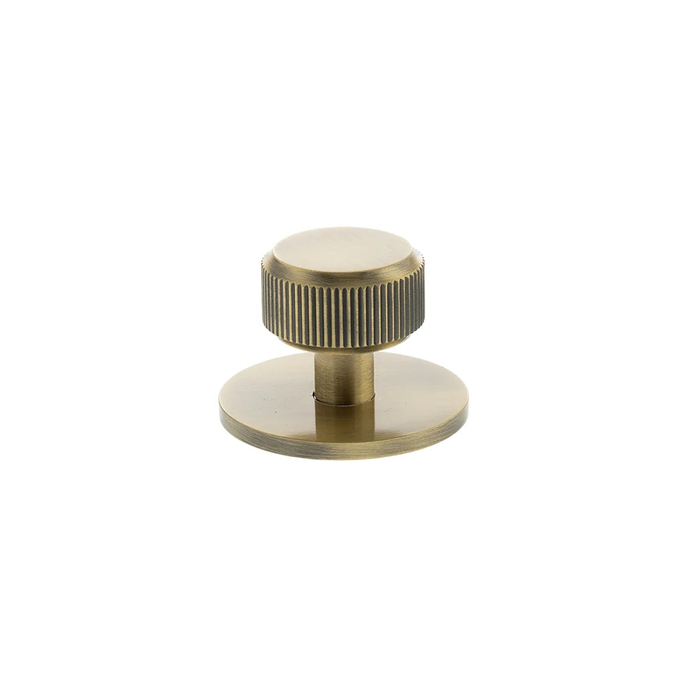 Millhouse Brass Antique Brass Battersea Linear Round Cabinet Knob on Backplate  |  MHCLB1532AB