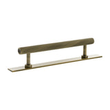 Millhouse Brass Antique Brass 128mm Paddington Spiral T-Bar Cabinet Pull Handle on Backplate  |  MHCSB17128AB