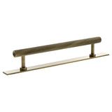 Millhouse Brass Antique Brass 160mm Paddington Spiral T-Bar Cabinet Pull Handle on Backplate  |  MHCSB17160AB